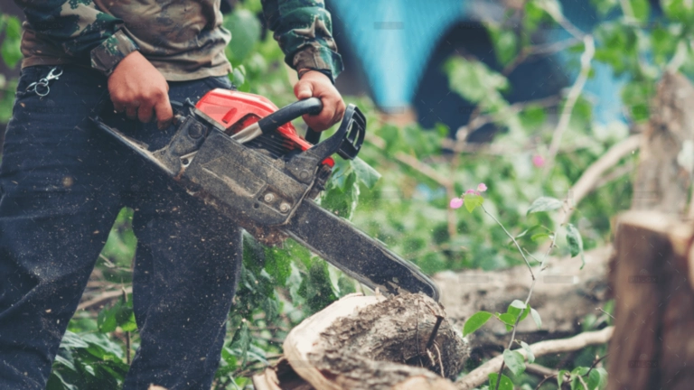 Asian Man Cutting Trees Using Electrical Chainsaw 1600x900 1 768x432